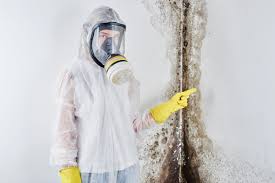 Mold Removal for HVAC Installations in Haverhill, FL